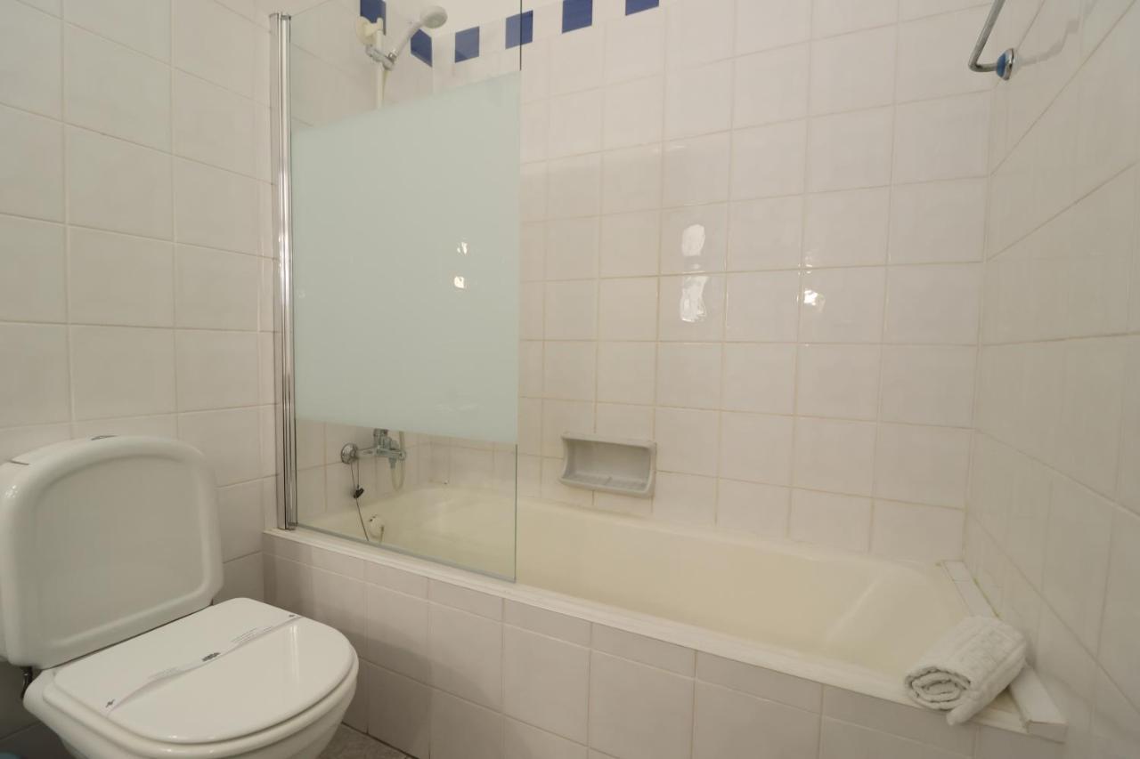 Camelia 67 At Sao Rafael -