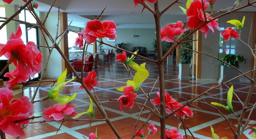 Sol & Spa Hotel