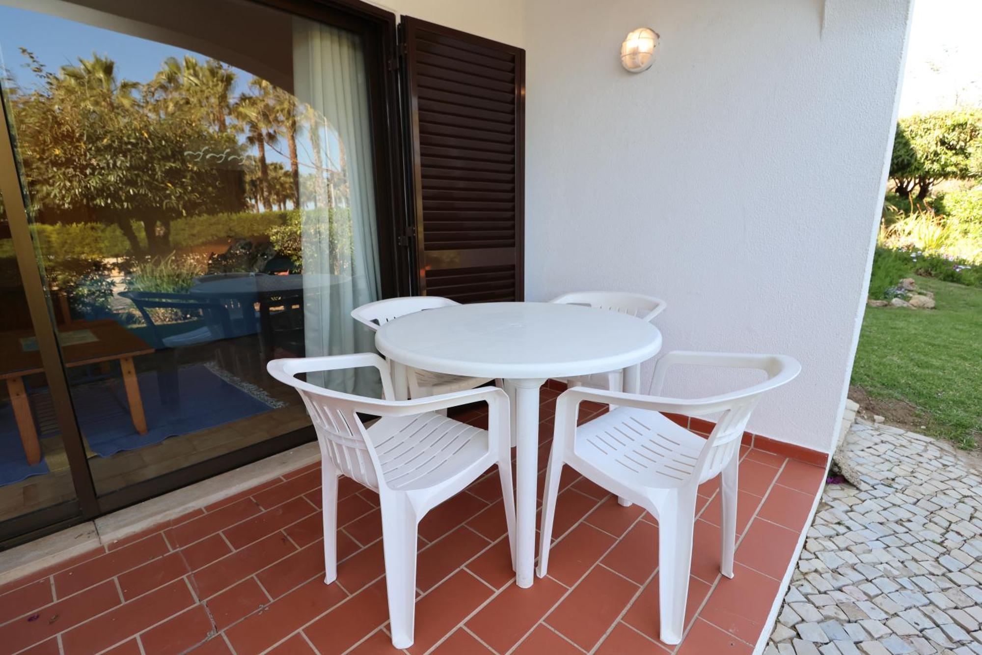 Camelia 67 At Sao Rafael - *
