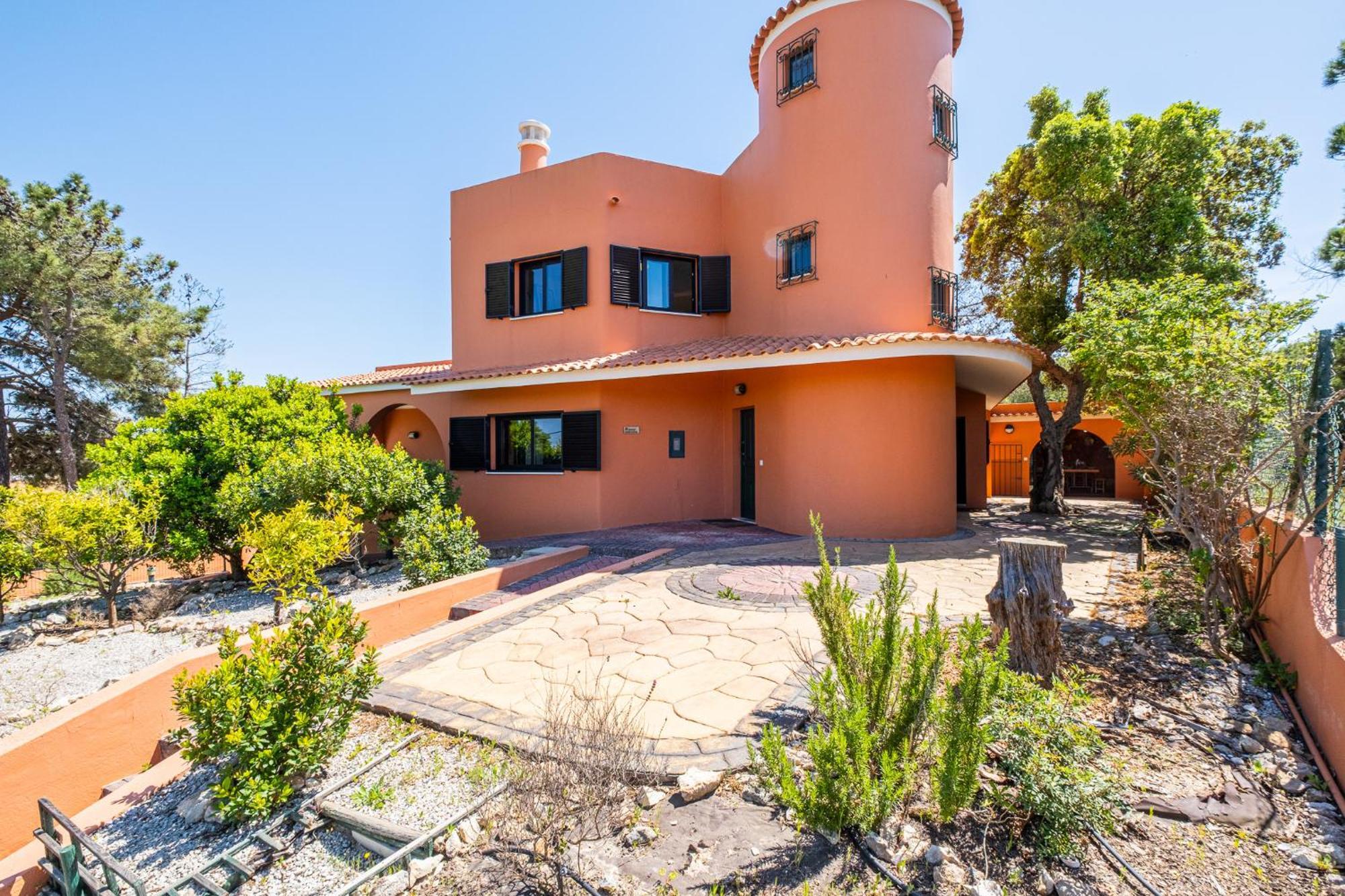 Orange Tree House *