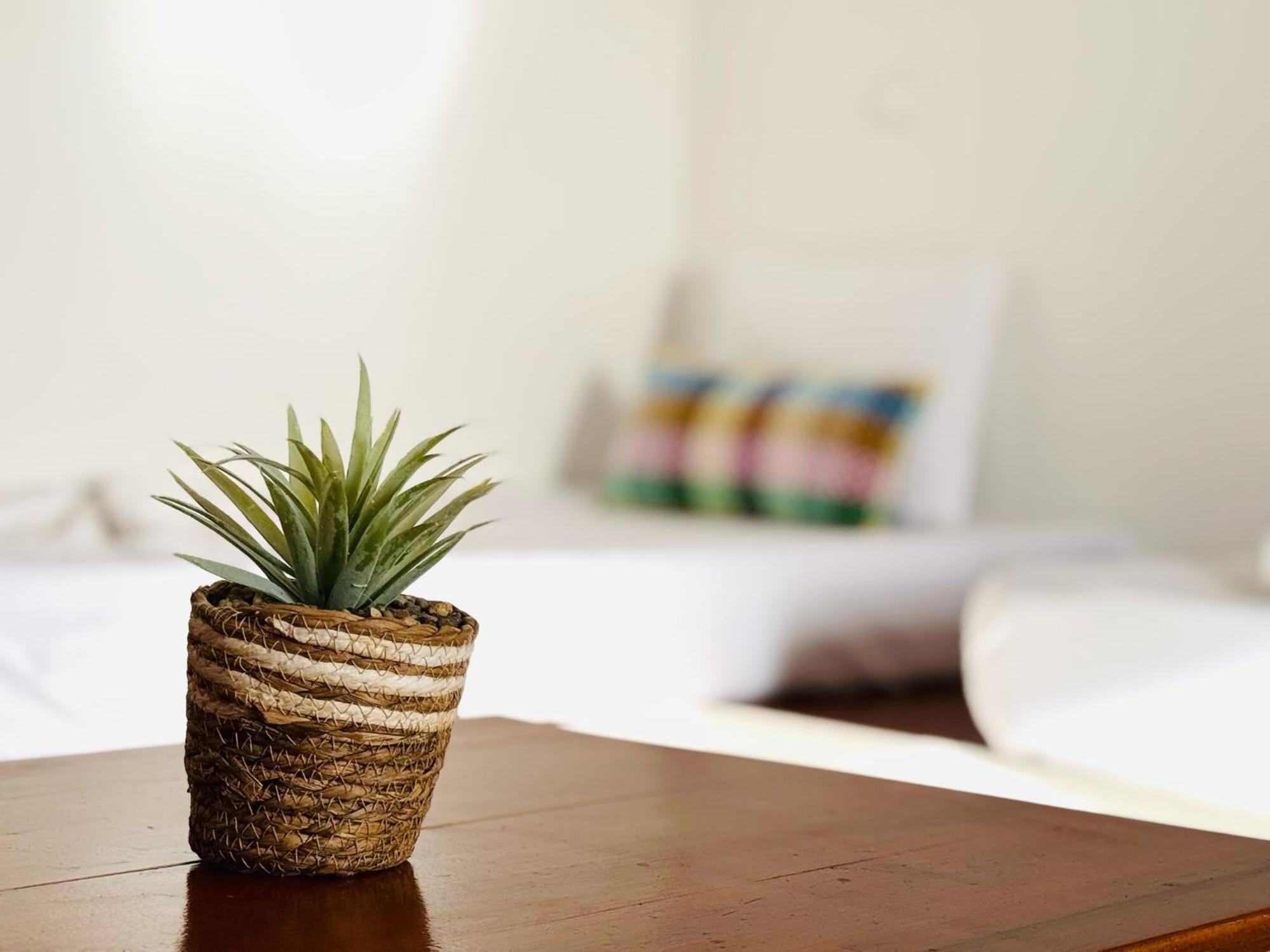 Oura Apartment