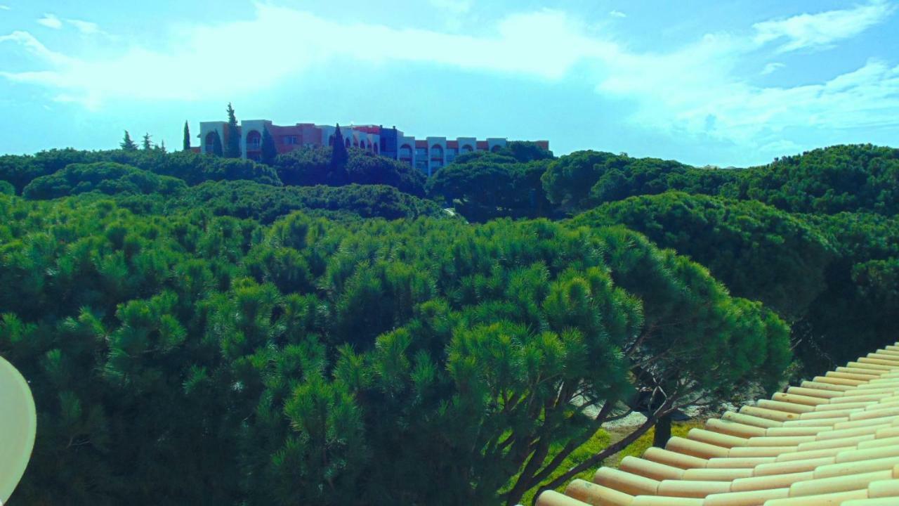 Green Paradise T2 With Pool Rooftop Albufeira