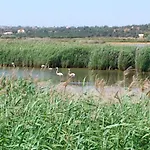 Bayside Salgados
