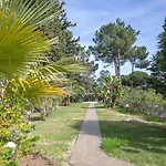Apartamento Laurus