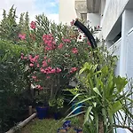 Amaral\'S Guesthouse - Albufeira