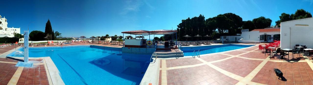 Jardim *