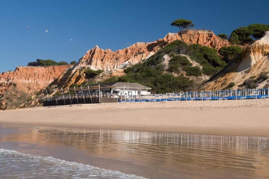 Pool And Garden Village-near Apartment Albufeira