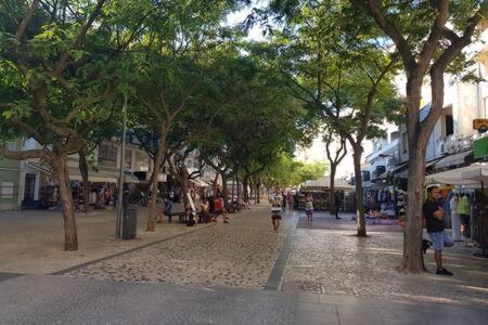 Apartment Cosy And Sweet In Albufeira
