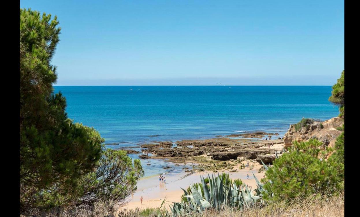 Happy House-fantastic With Amenities * Albufeira