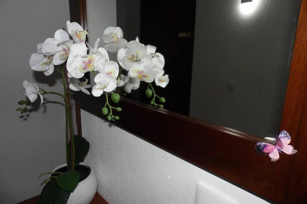 Happy House-fantastic With Amenities Apartment *