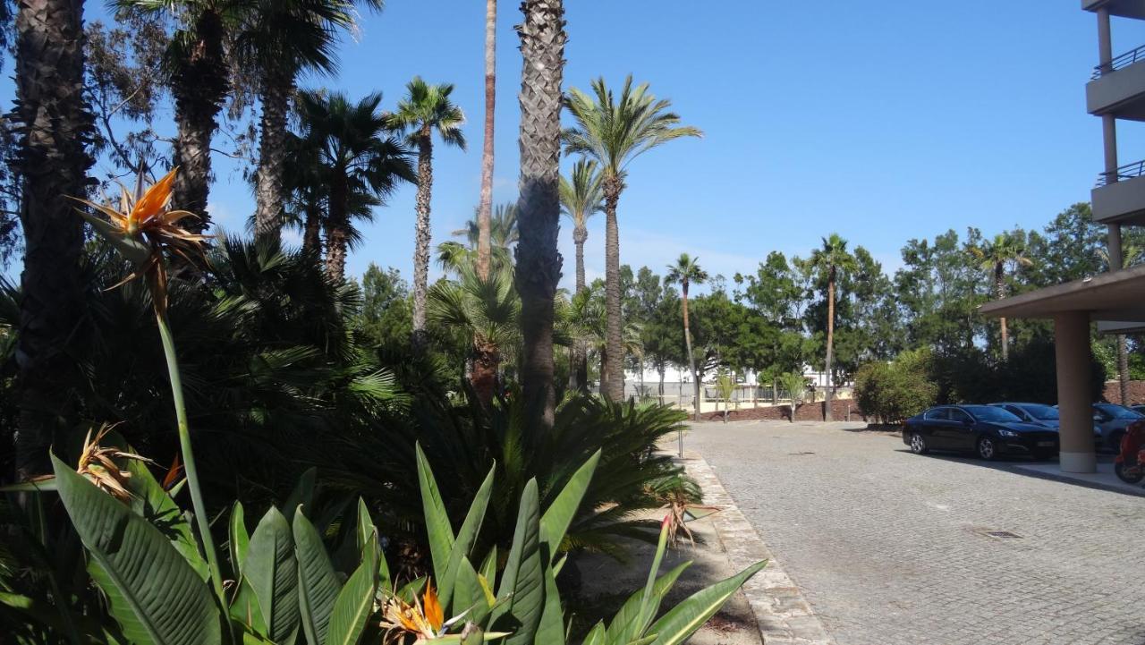 Appartement Beach Front Barracuda Albufeira