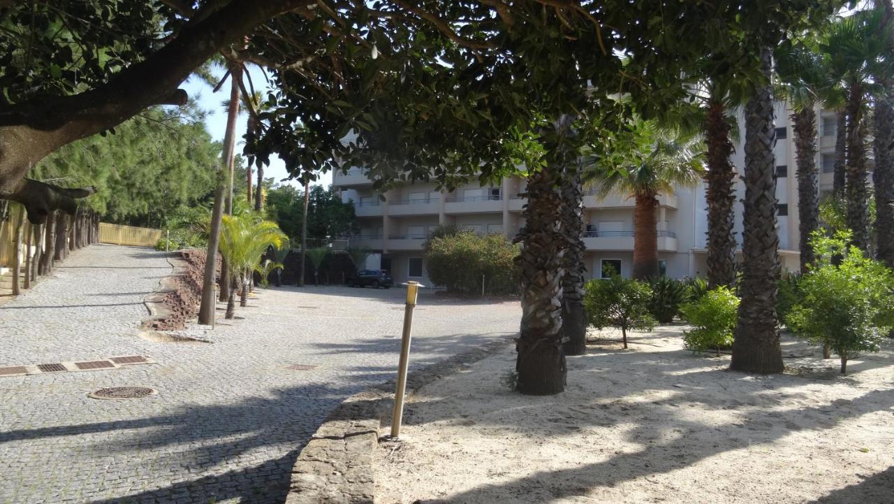 Appartement Beach Front Barracuda *
