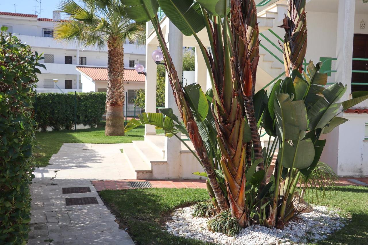 Jardim De Sta Eulália Apartamento *