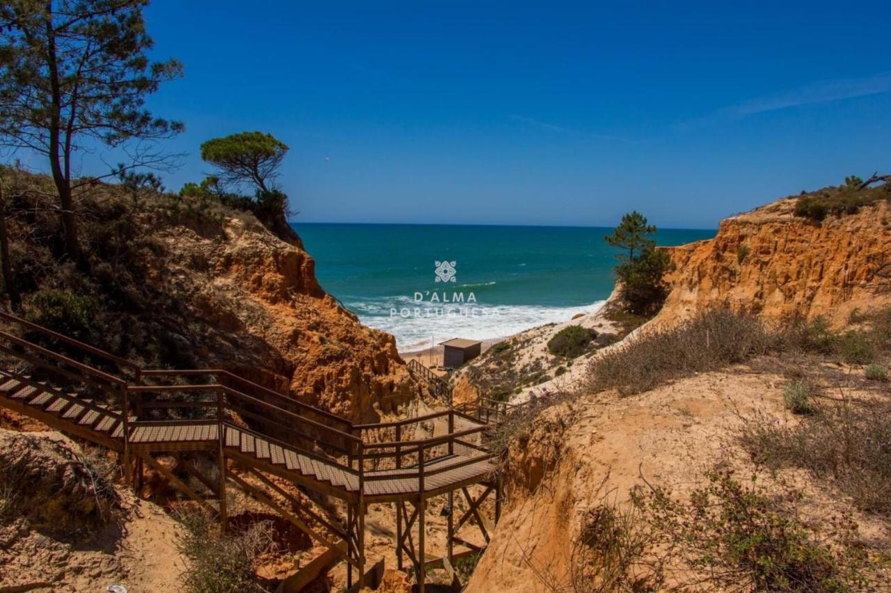 Refugio Da Falesia - By Dalma Portuguesa *