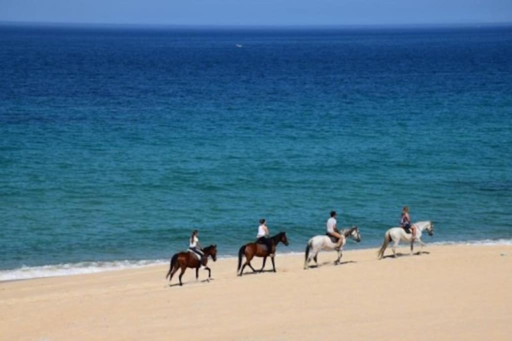 Albufeirasun, Arrive As A Guest Leave As A Friend.