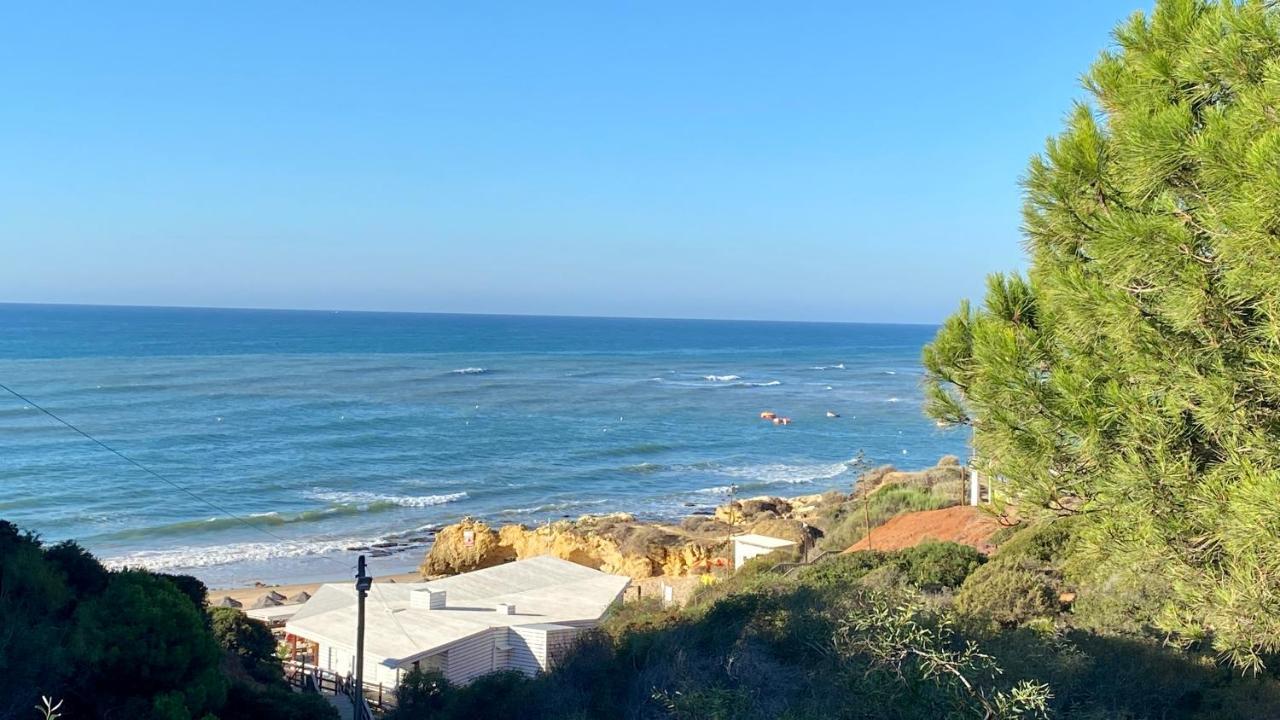 Apartment Bicos S By Check-in Portugal