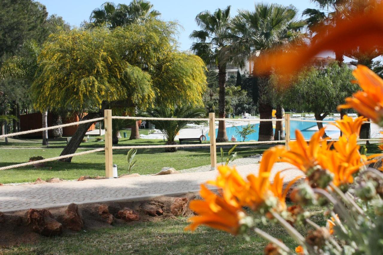 Vila Petra 4*