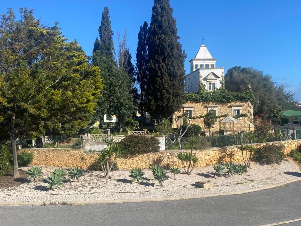 Relaxing Oasis In Albufeira