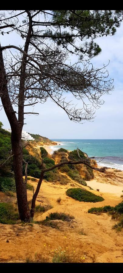 Albufeirasun, Arrive As A Guest Leave As A Friend. Apartamento *