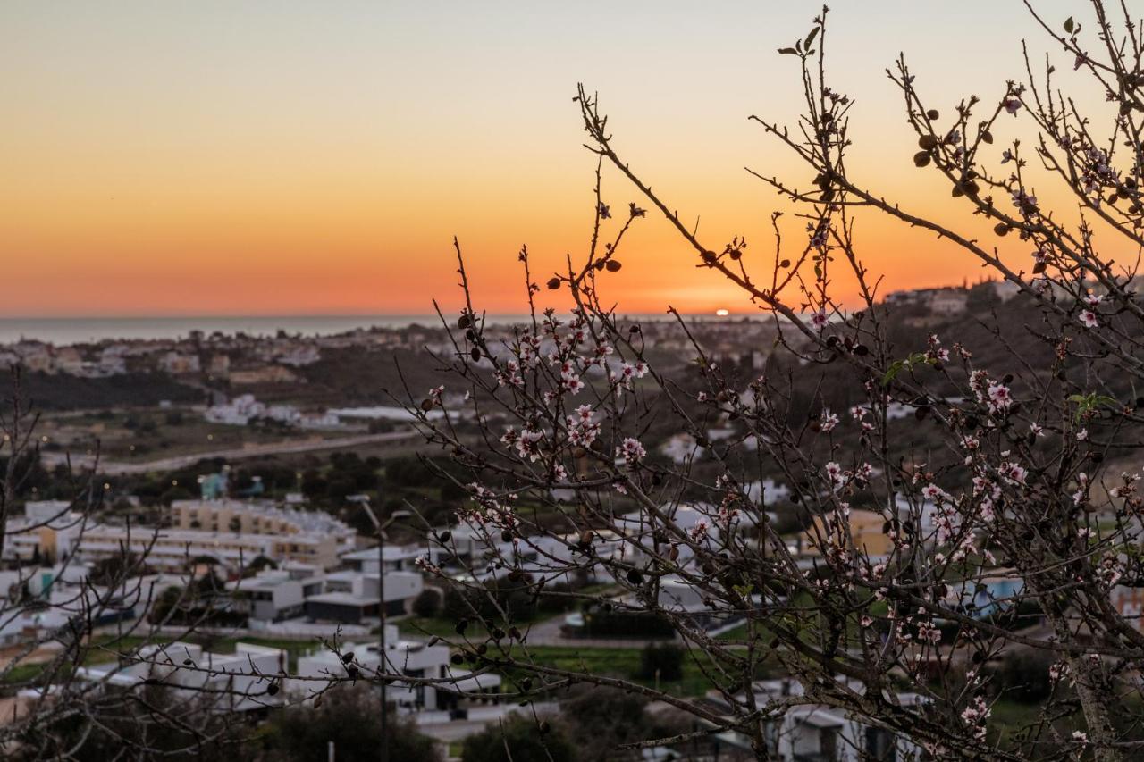Sunset On The Sea