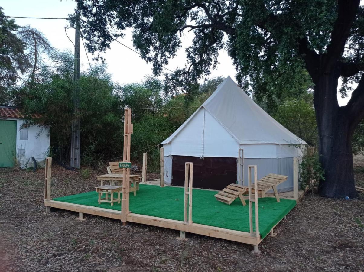 Luxury tent Glamping