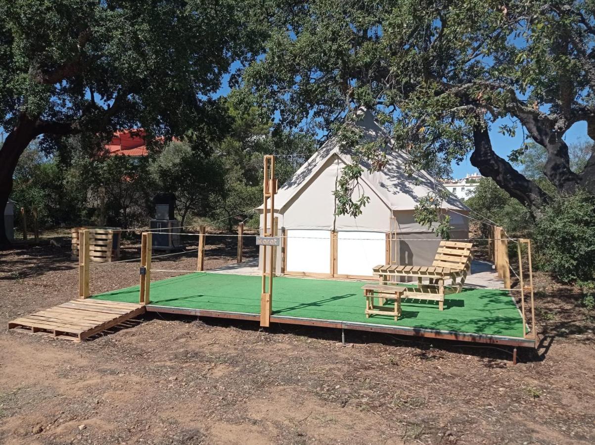 Luxury tent Glamping