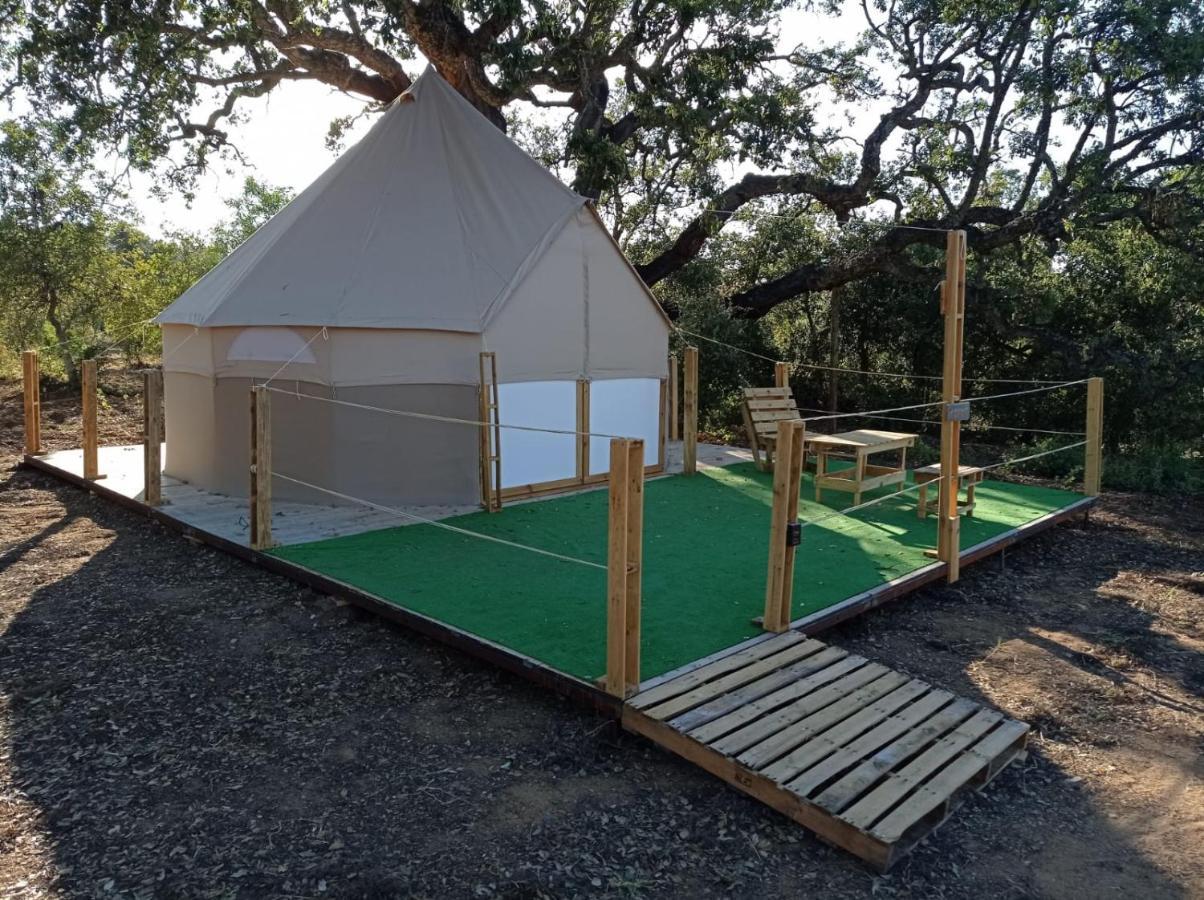 Luxury tent Glamping