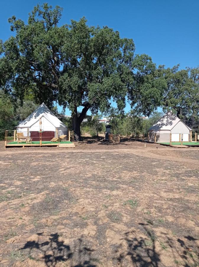 Luxury tent Glamping *