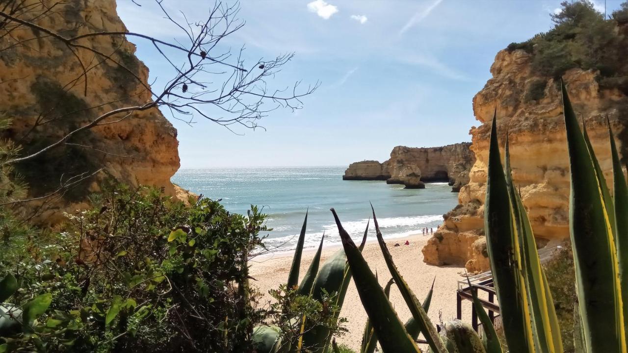 Apartment Traditional In Albufeira