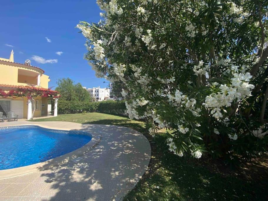 Orange With Private Pool Villa Albufeira