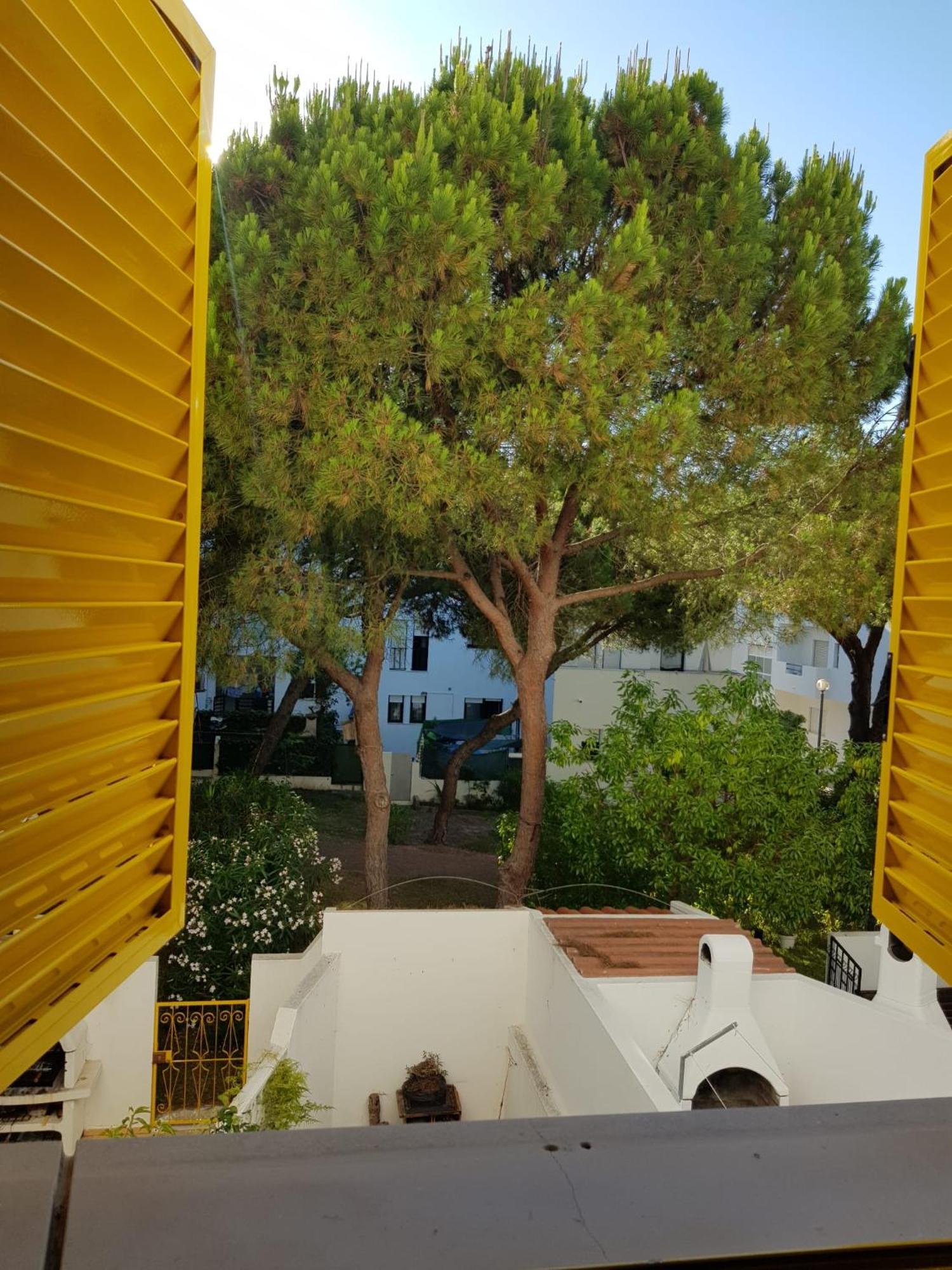 Appartement Gelbblau Falesia
