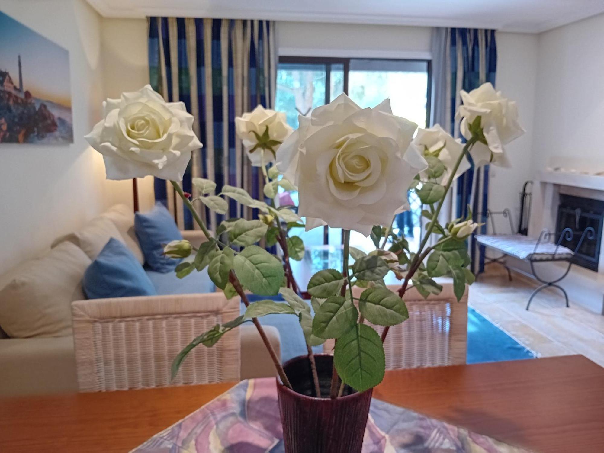 Apartment 6 B