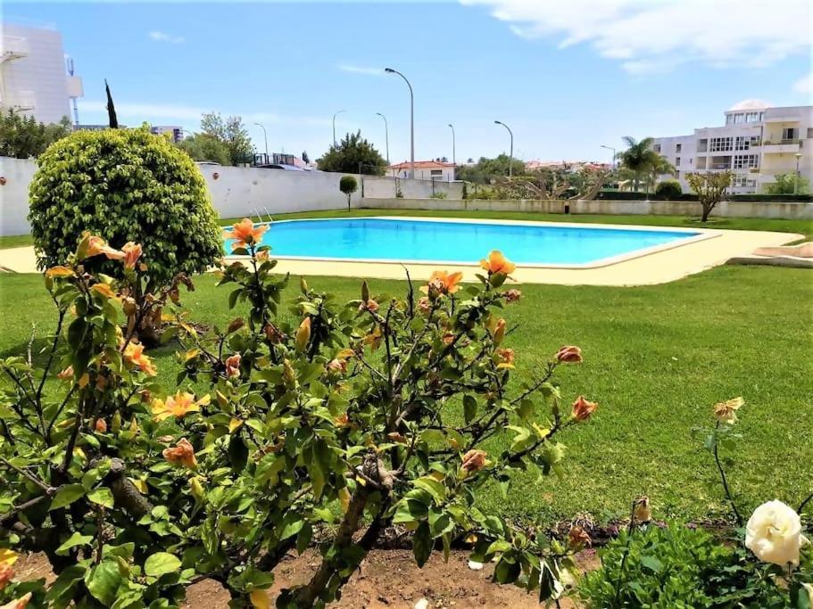 Magalie Sea View Albufeira