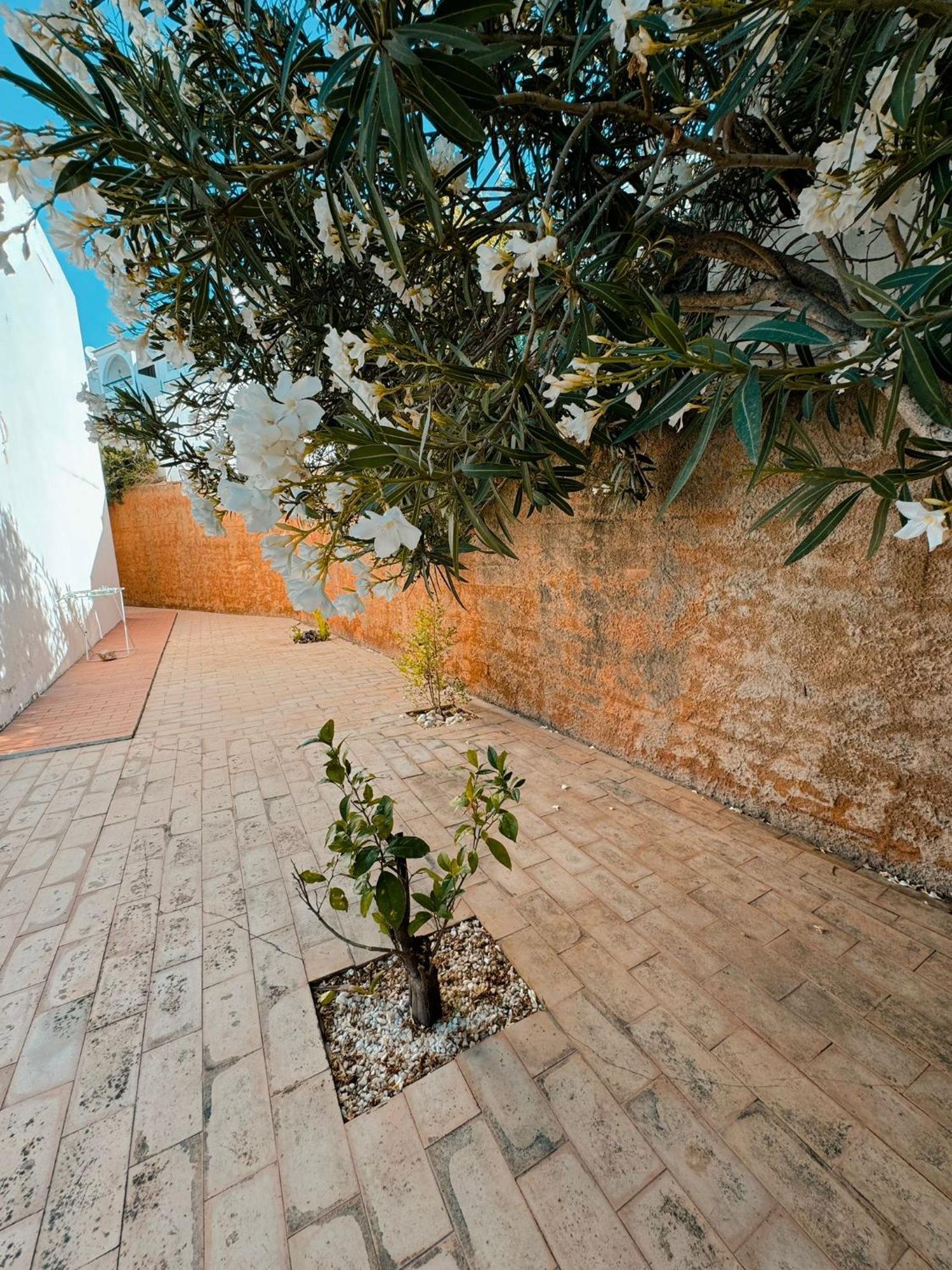 T2 Sobre A - Albufeira/olhos De água Casa de Férias Albufeira