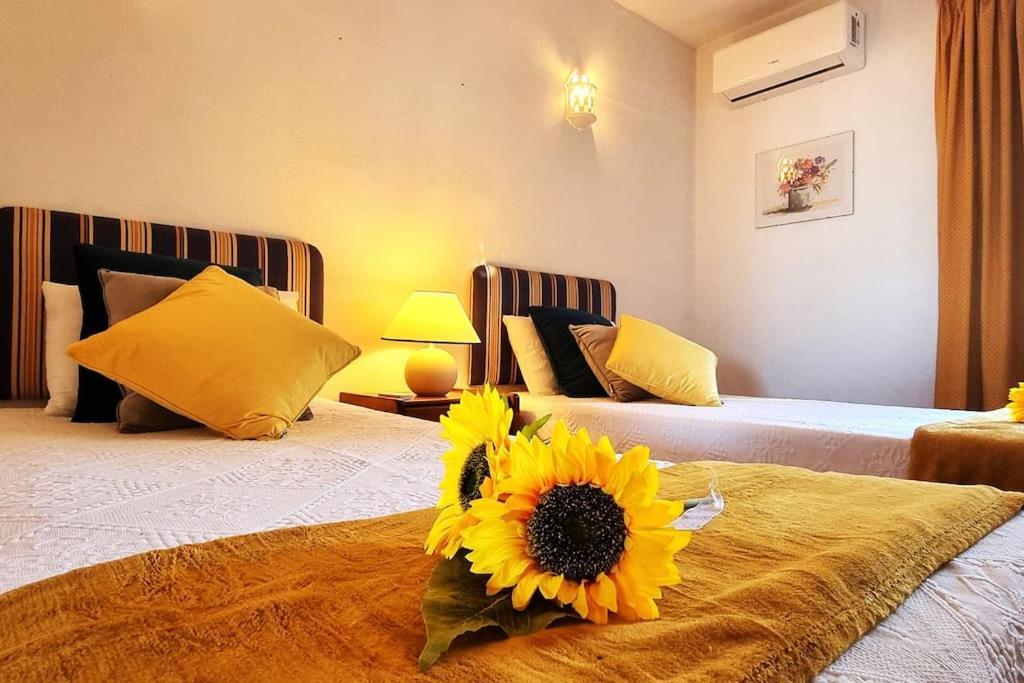 Albalux - A Place To Enjoy! Apartment