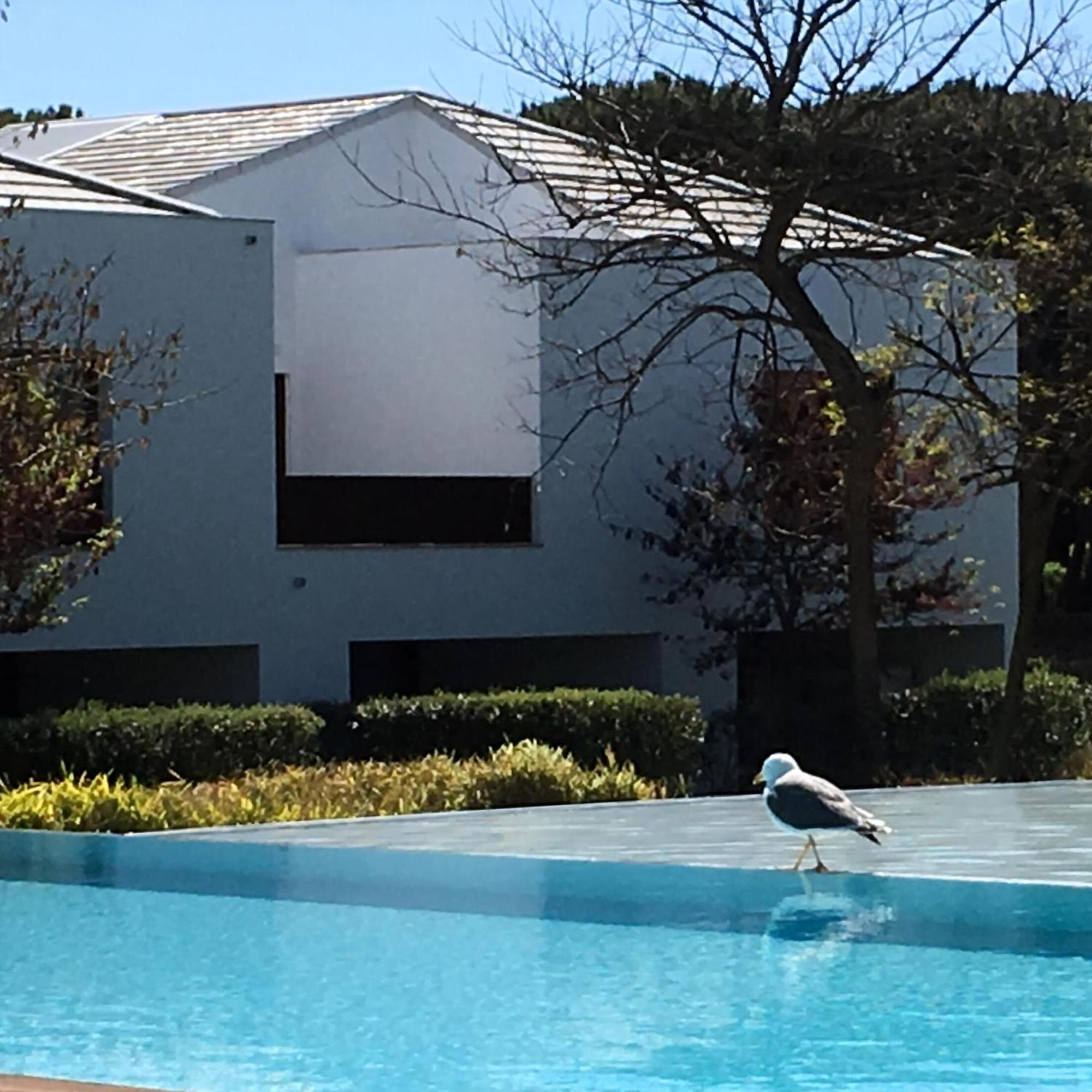 In Olhos De Agua Mit Gemeinschaftspool Und Schoener Aussicht *