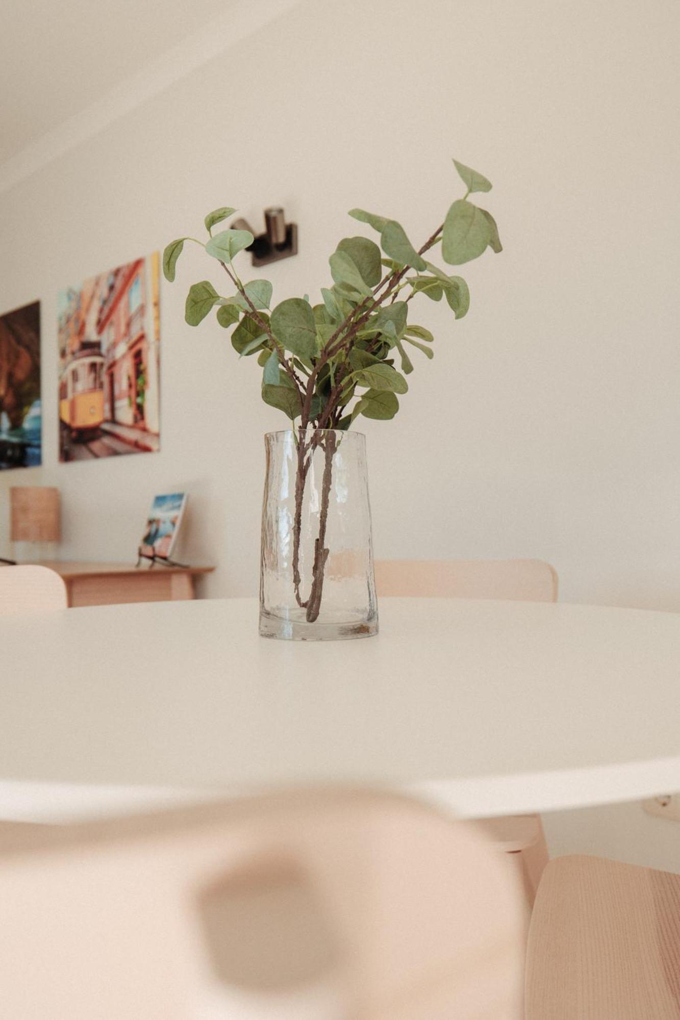 Apartment Casa Velha - Adults Friendly