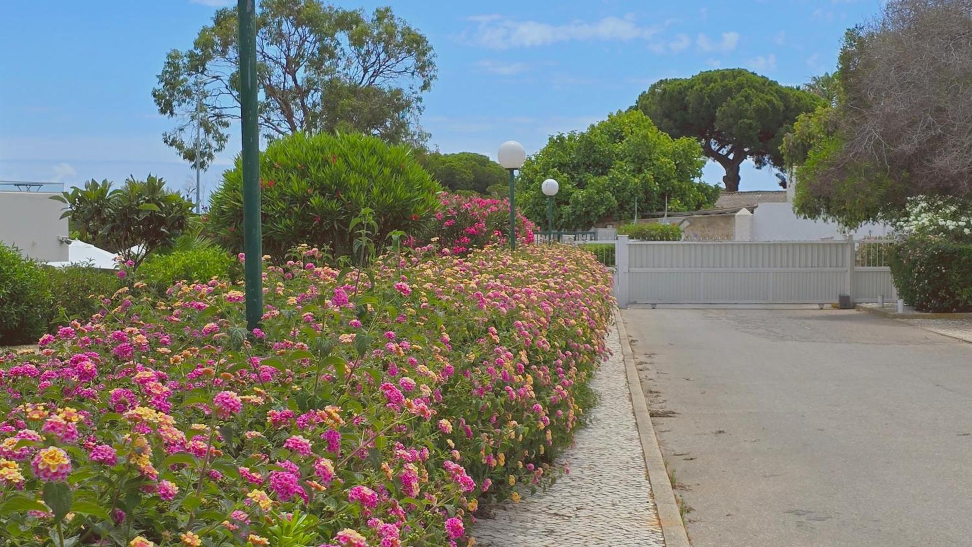 Eulalia With Pool And 5 Minutes From The Apartment Albufeira