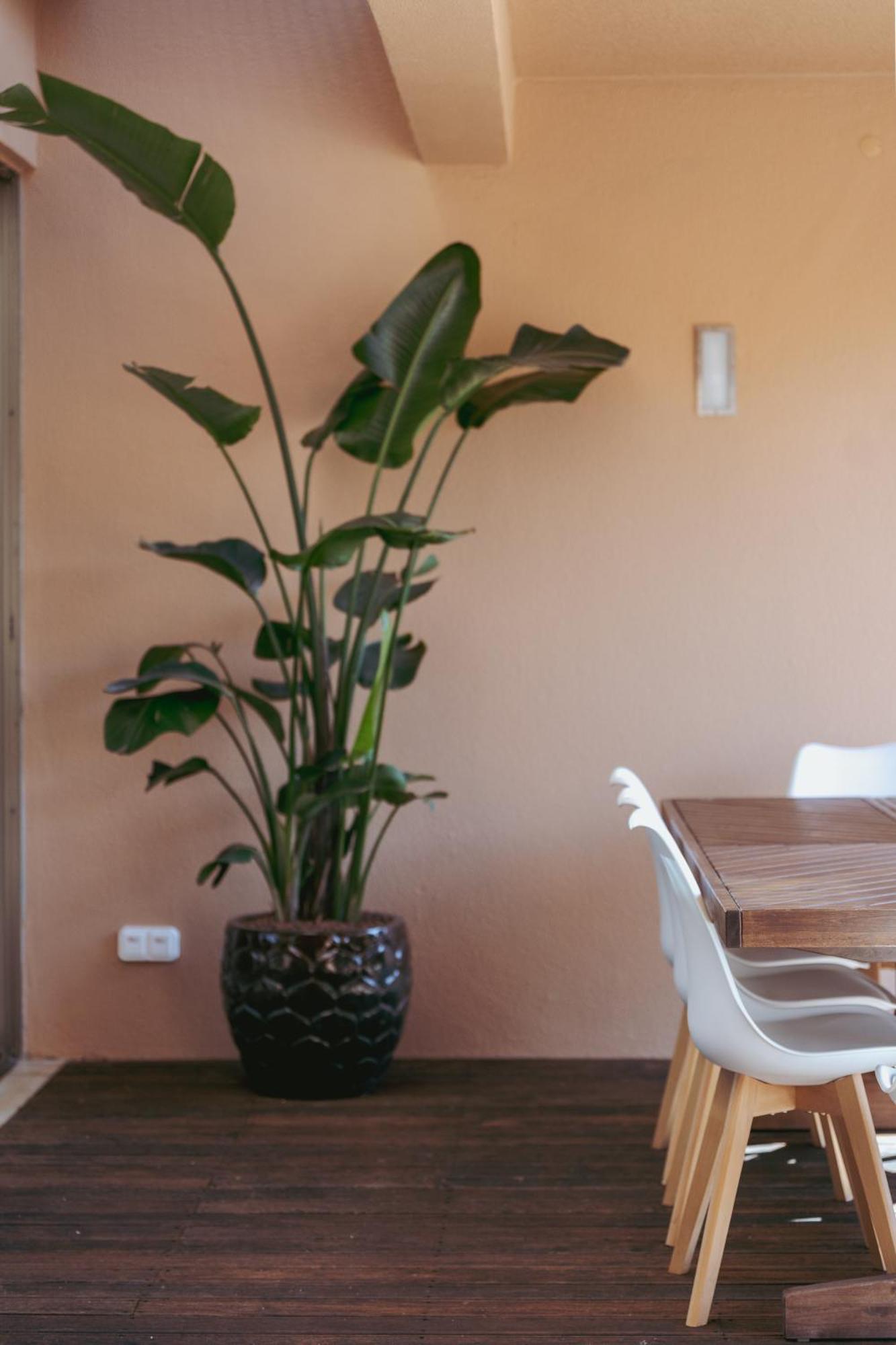Salgados Premium By Da'home Villa Albufeira