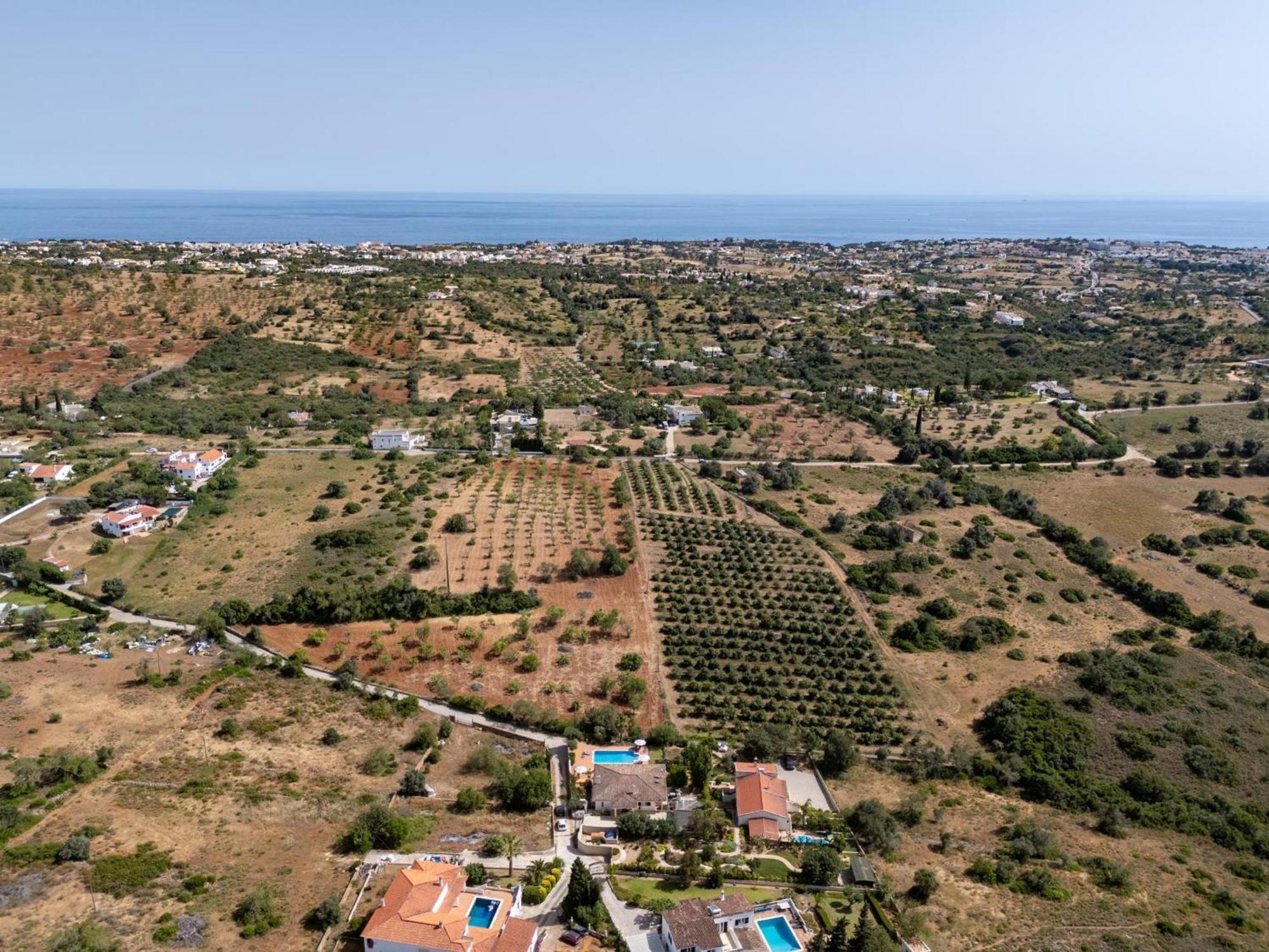 Lumineuse Avec Grande Piscine Pres D'albufeira - Pt-1-42 Villa *