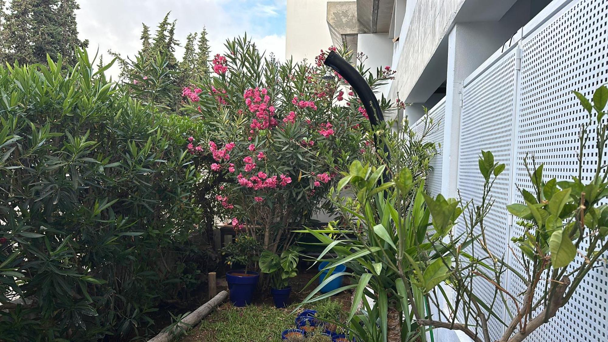 Amaral's - Apartment Albufeira