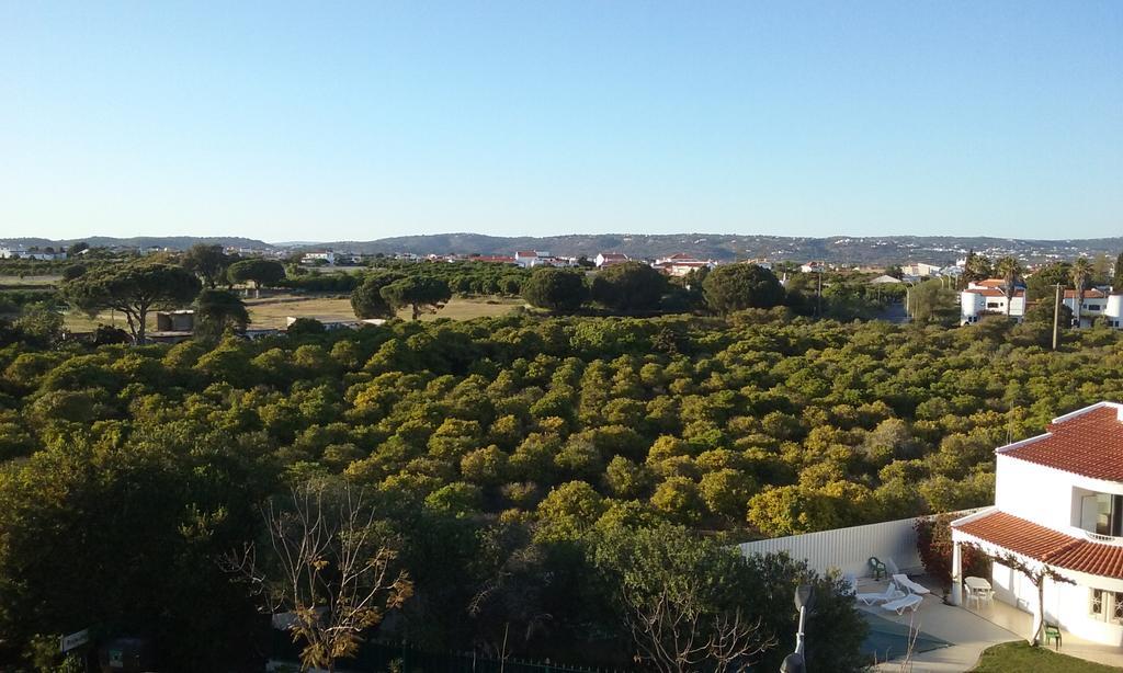 Apartment Amalia Albufeira