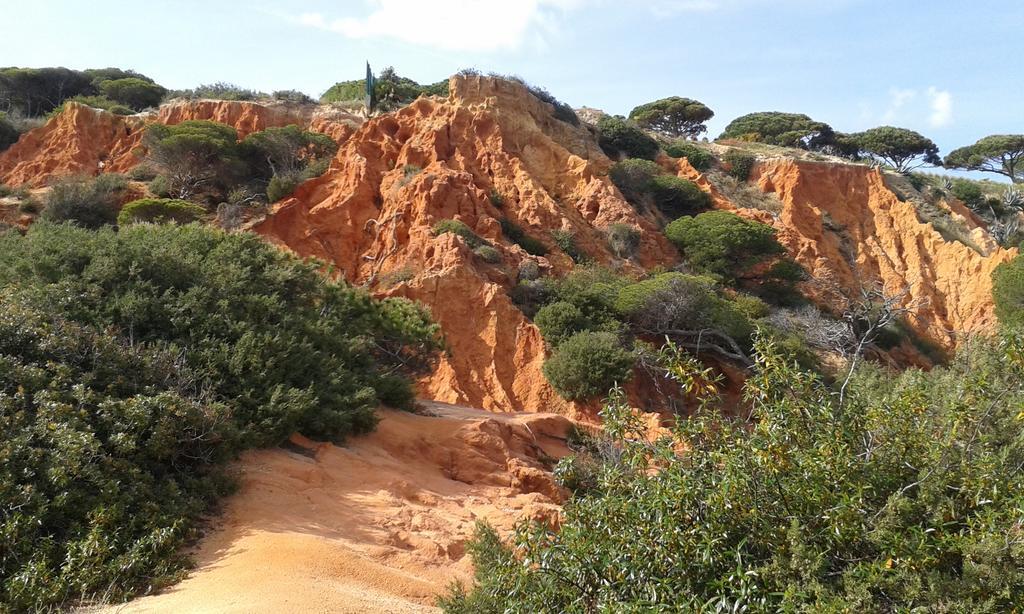 Vila Rosal