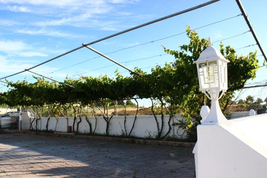 Casa de hóspedes Sunshine *