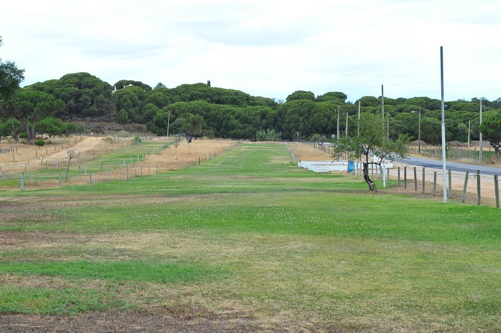 3 - Da Falesia