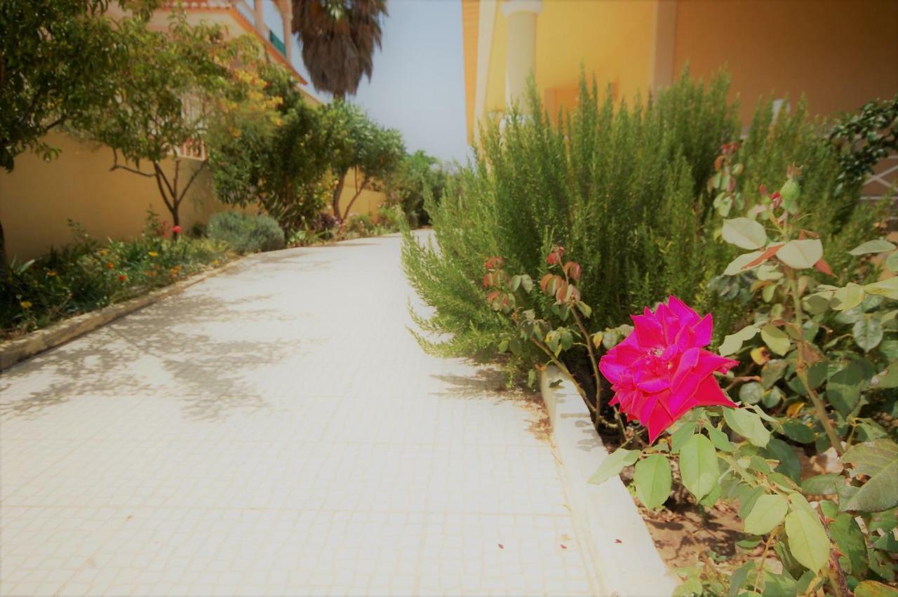 Alice - Free Wifi & Air Co & Swimming Pool - By Bedzy Villa
