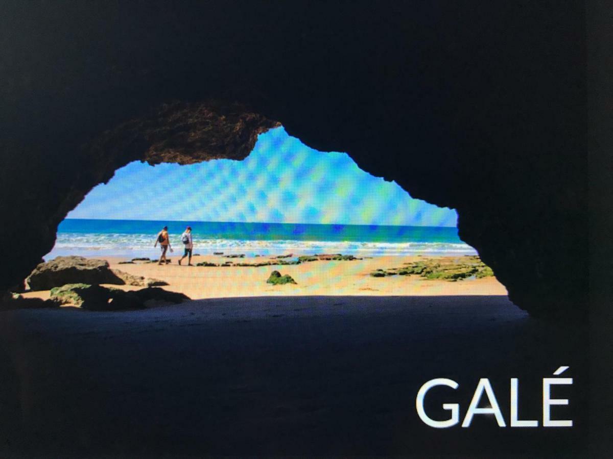 Palmeira Gale Apartamento Albufeira