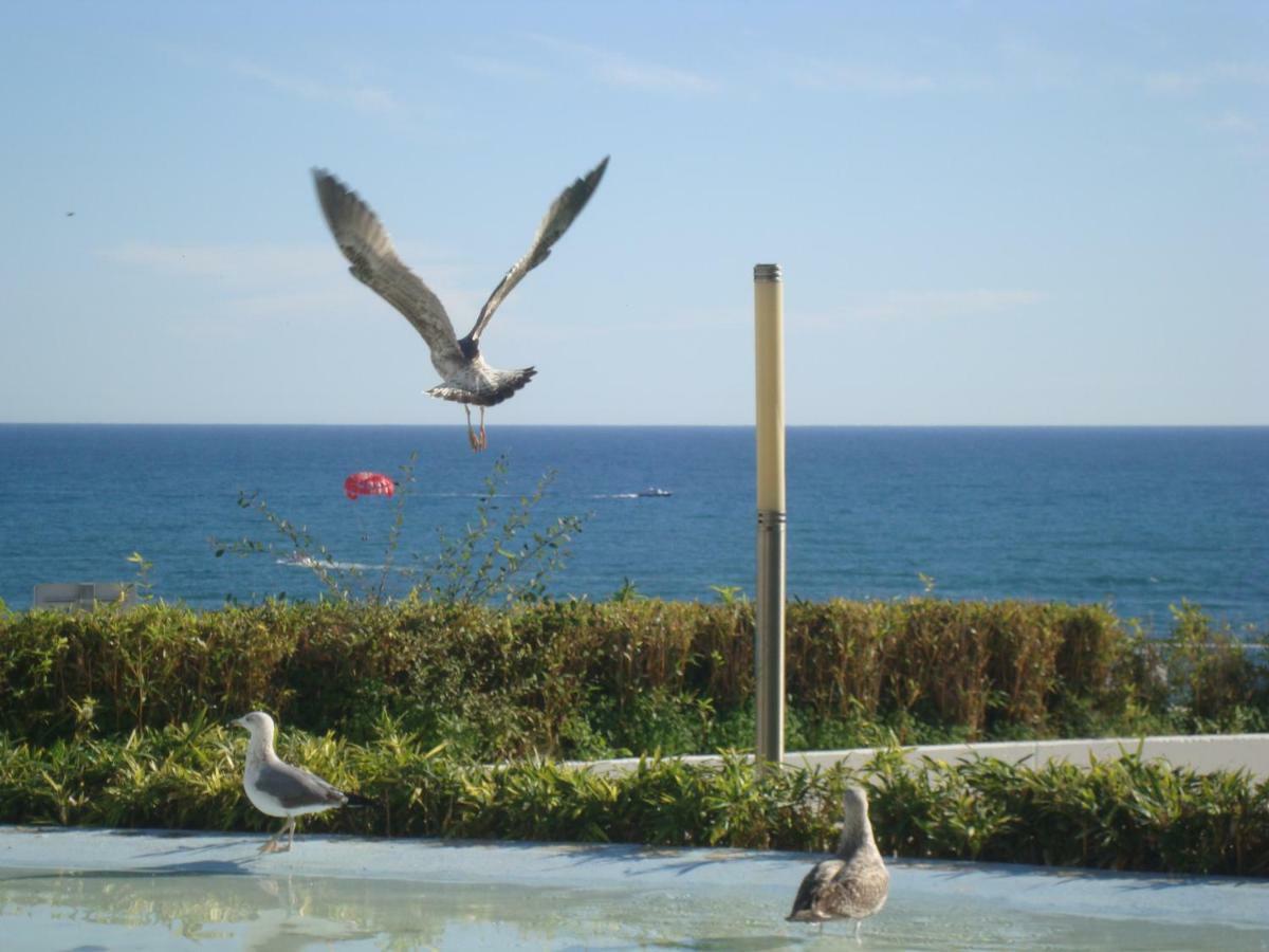 Guest house Algarvia Boutique & Albufeira