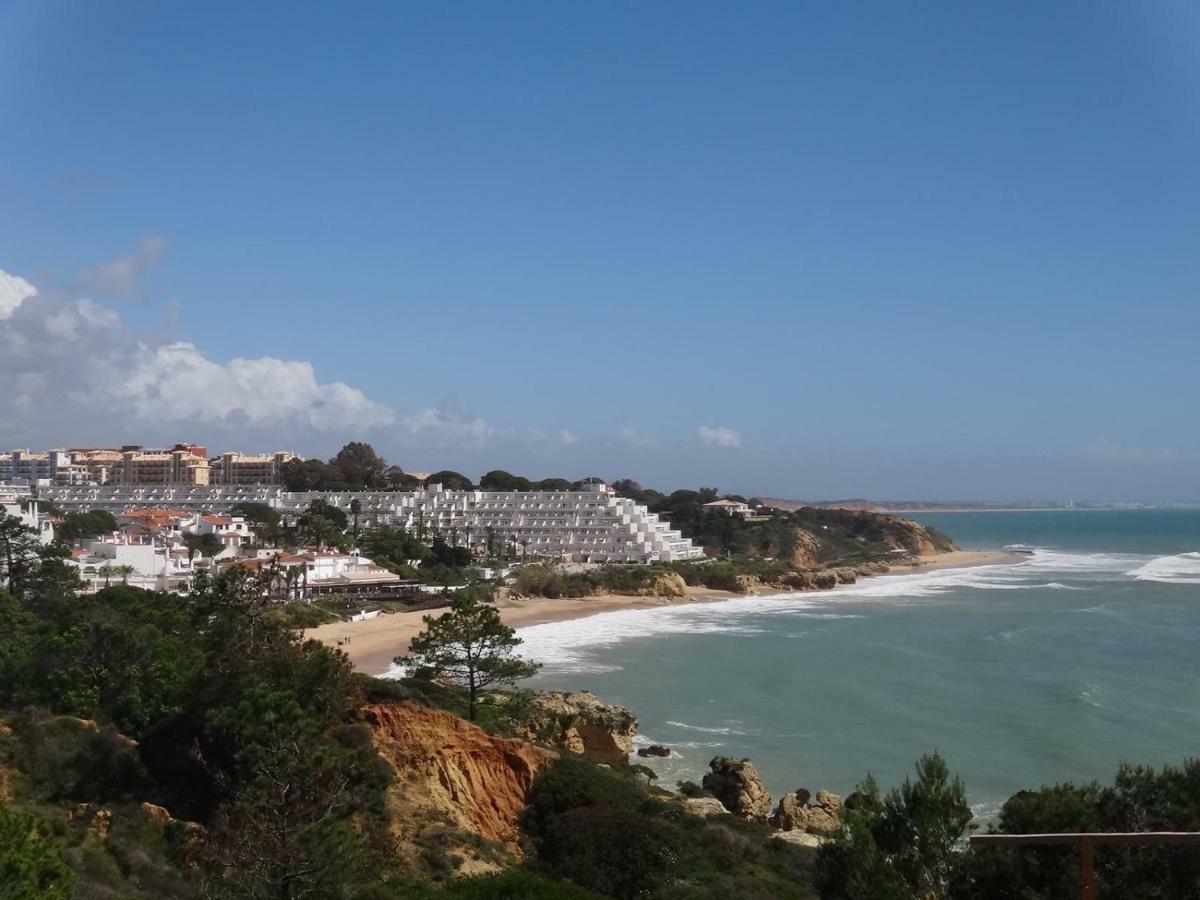 Vilamagna 501 - By Algarkasa * Albufeira