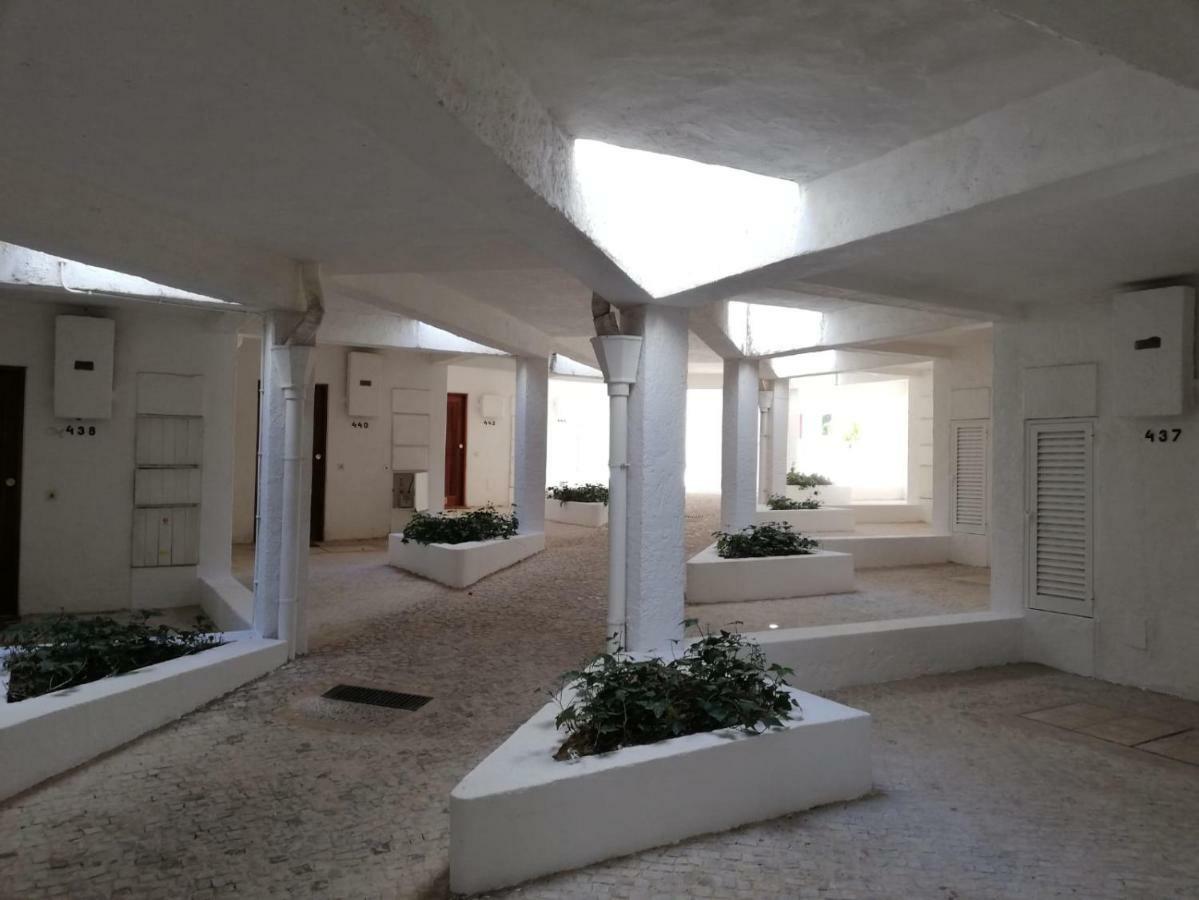 Passarinhos Apartamento *